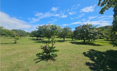 Se Vende Finca de 6.4 has vivienda o uso comercial en Coronado(DR)