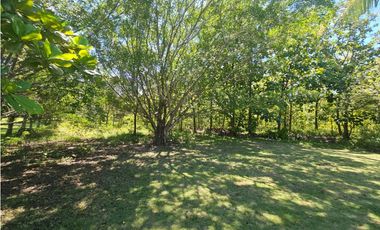 Se Vende Finca de 6.4 has vivienda o uso comercial en Coronado(DR)