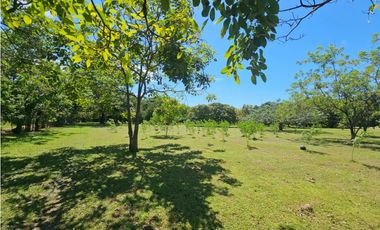 Se Vende Finca de 6.4 has vivienda o uso comercial en Coronado(DR)