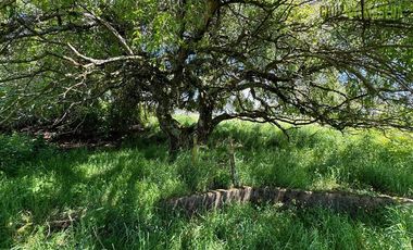 Parcela en Venta en Molino Viejo