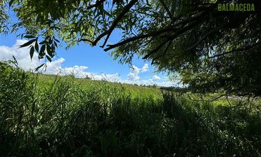 Parcela en Venta en Molino Viejo