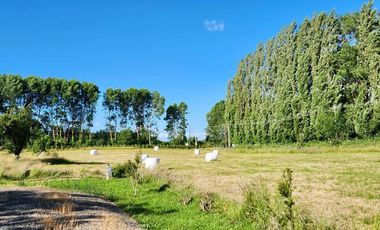 Parcela en venta en OSORNO