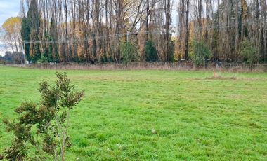 Parcela en venta en OSORNO