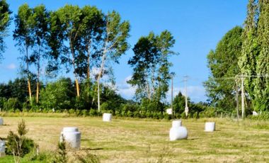 Parcela en venta en OSORNO