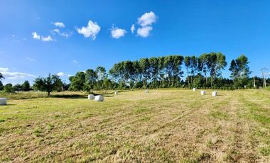 Parcela en venta en OSORNO