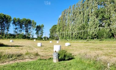Parcela en venta en OSORNO