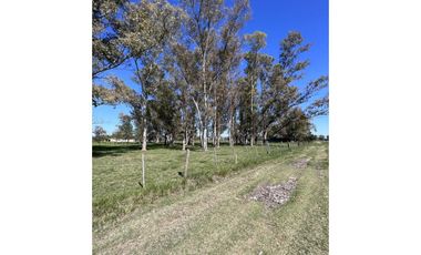 Lote ubicado a 700 metros Ruta 41 - San Miguel del Monte
