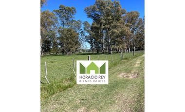 Lote ubicado a 700 metros Ruta 41 - San Miguel del Monte