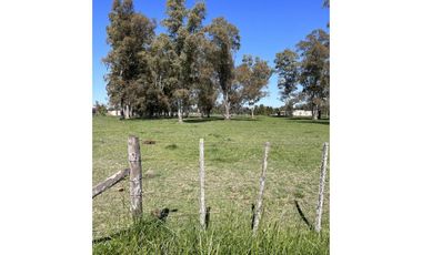 Lote ubicado a 700 metros Ruta 41 - San Miguel del Monte