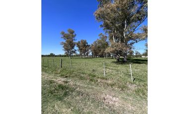 Lote ubicado a 700 metros Ruta 41 - San Miguel del Monte