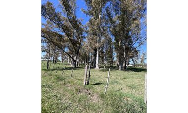 Lote ubicado a 700 metros Ruta 41 - San Miguel del Monte