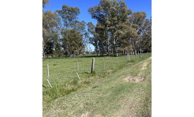 Lote ubicado a 700 metros Ruta 41 - San Miguel del Monte