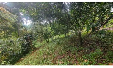 VENTA DE FINCA EN ANOLAIMA CUNDINAMARCA CASA CON LICENCIA