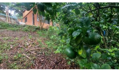 VENTA DE FINCA EN ANOLAIMA CUNDINAMARCA CASA CON LICENCIA