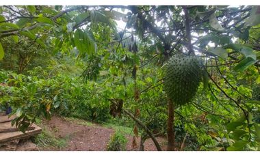 VENTA DE FINCA EN ANOLAIMA CUNDINAMARCA CASA CON LICENCIA