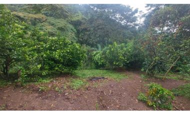 VENTA DE FINCA EN ANOLAIMA CUNDINAMARCA CASA CON LICENCIA
