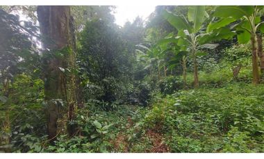 VENTA DE FINCA EN ANOLAIMA CUNDINAMARCA CASA CON LICENCIA