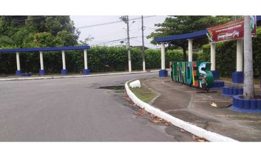 VENTA CASA EN FLANDES TOLIMA URBANIZACION ACAPULCO DEL ALENJANDRIA