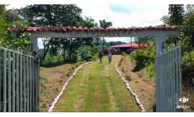 VENTA DE FINCA EN SANTANDER CHITARAQUE PRODUCTORA DE PANELA