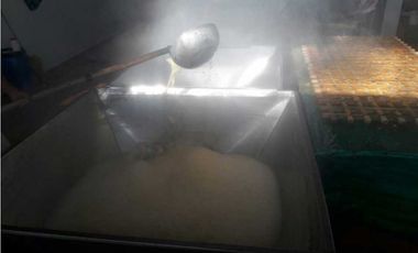 VENTA DE FINCA EN SANTANDER CHITARAQUE PRODUCTORA DE PANELA