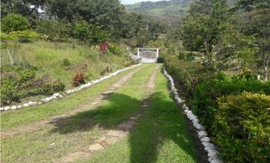 VENTA DE FINCA EN SANTANDER CHITARAQUE PRODUCTORA DE PANELA