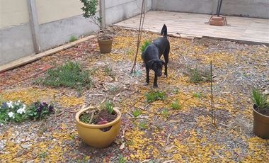 Casa en Venta en Casa en Condominio, Limache Viejo