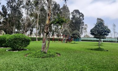 CONDOMINIO EL OLIVAR - PUCUSANA
