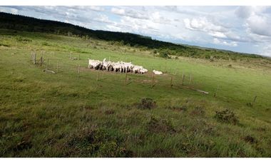 FINCA GANADERA EN VENTA, PUERTO GAITAN META, NEGOCIABLE