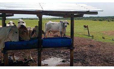FINCA GANADERA EN VENTA, PUERTO GAITAN META, NEGOCIABLE