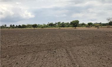 FINCA GANADERA EN VENTA, PUERTO GAITAN META, NEGOCIABLE