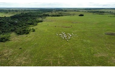 FINCA GANADERA EN VENTA, PUERTO GAITAN META, NEGOCIABLE