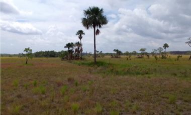 FINCA GANADERA EN VENTA, PUERTO GAITAN META, NEGOCIABLE