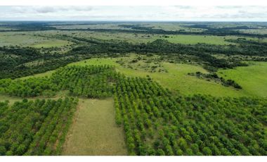 FINCA GANADERA EN VENTA, PUERTO GAITAN META, NEGOCIABLE