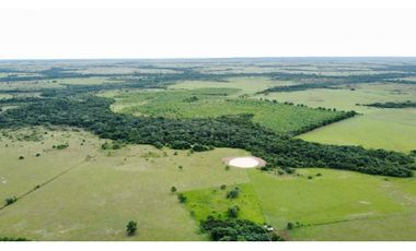 FINCA GANADERA EN VENTA, PUERTO GAITAN META, NEGOCIABLE