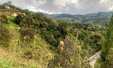 Lote en Guatapé, perfecto para glamping o vivienda campestre