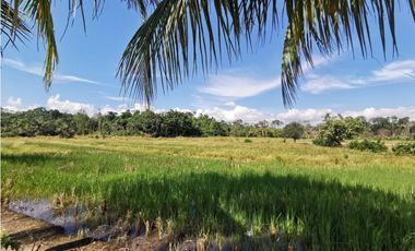 TERRENO EN VENTA 8 HECTAREAS SECTOR CHONTAMUYO