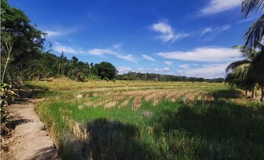 TERRENO EN VENTA 8 HECTAREAS SECTOR CHONTAMUYO