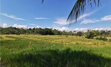 TERRENO EN VENTA 8 HECTAREAS SECTOR CHONTAMUYO