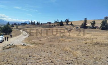 En Venta Lotes de 600mtrs Ambato Sector Samanga