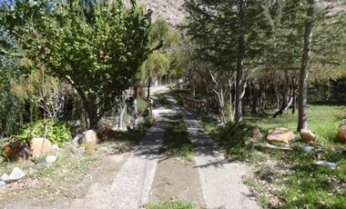 Local comercial en venta en PAIHUANO