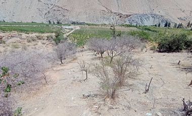 Casa en venta en PAIHUANO