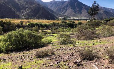 Parcela en venta en VICUÑA
