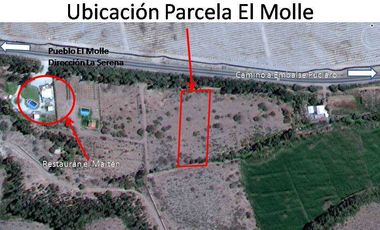 Parcela en venta en VICUÑA