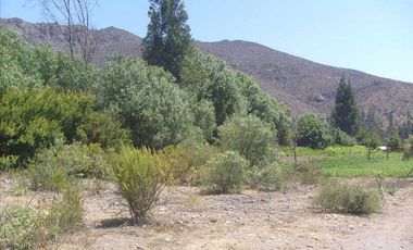 Parcela en venta en VICUÑA
