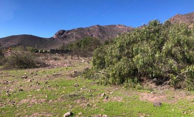 Parcela en venta en VICUÑA