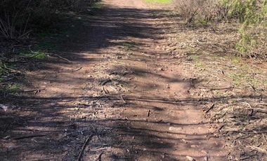 Parcela en venta en VICUÑA