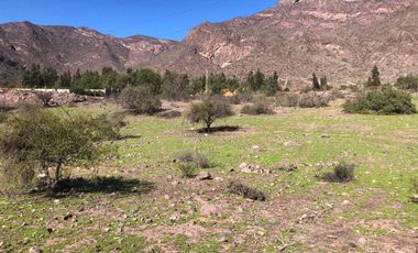 Parcela en venta en VICUÑA