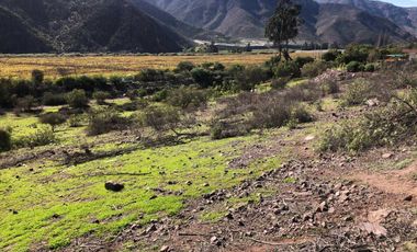 Parcela en venta en VICUÑA