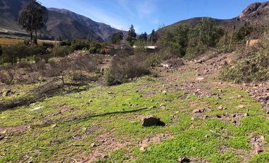 Parcela en venta en VICUÑA