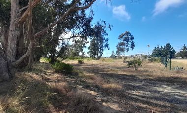 Parcela en venta en ALGARROBO